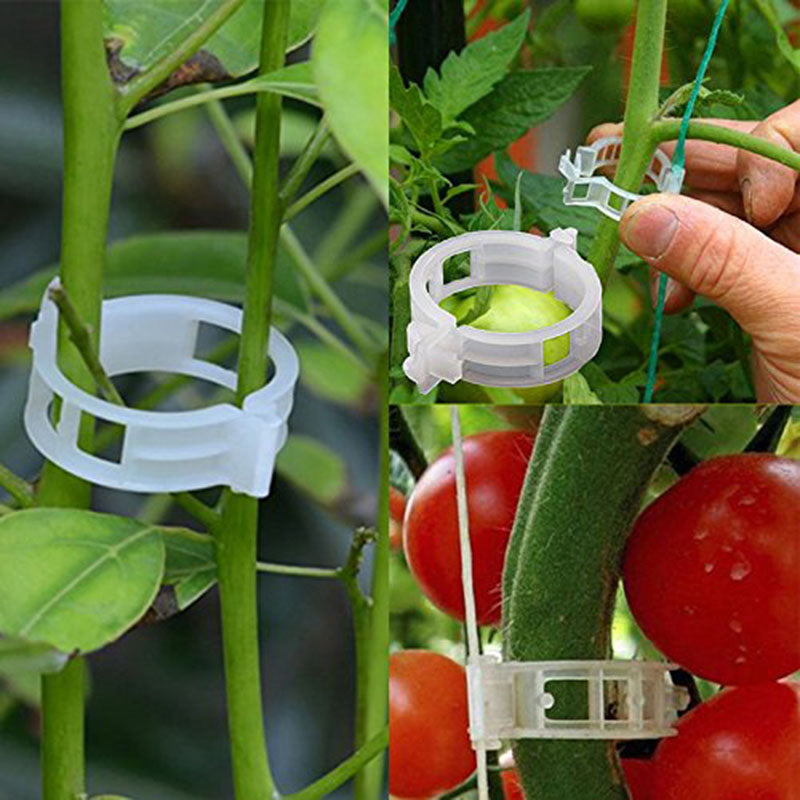 🍅🍅【100 buc】Suport din plastic pentru plante de roșii conectat la spalier suspendat pentru decorarea grădinii cu efect de seră 3905180