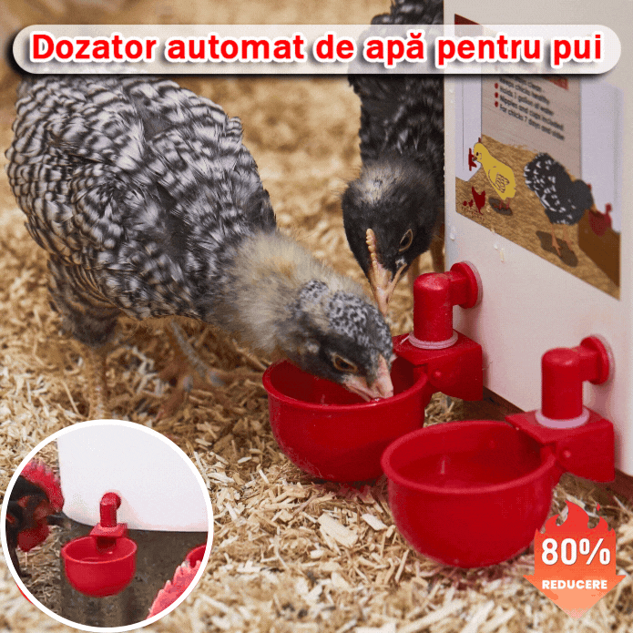 🔥🐔【Vremenski ograničena ponuda】【10kom】Automatska posuda za piće za perad je jaka i otporna na habanje