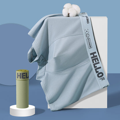 🔥【Cumpără 3, primești 3 gratis】🧊 Reducere de 50% din preț --- Pantaloni boxer antibacterieni pentru bărbați, mărime mare, confecționați din plasă în formă de U cu model modal convex