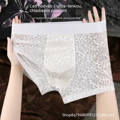 🧊🩲【L-4XL】Pánska sieťovaná spodná bielizeň z ľadového hodvábu, plus veľkosť, priedušná.